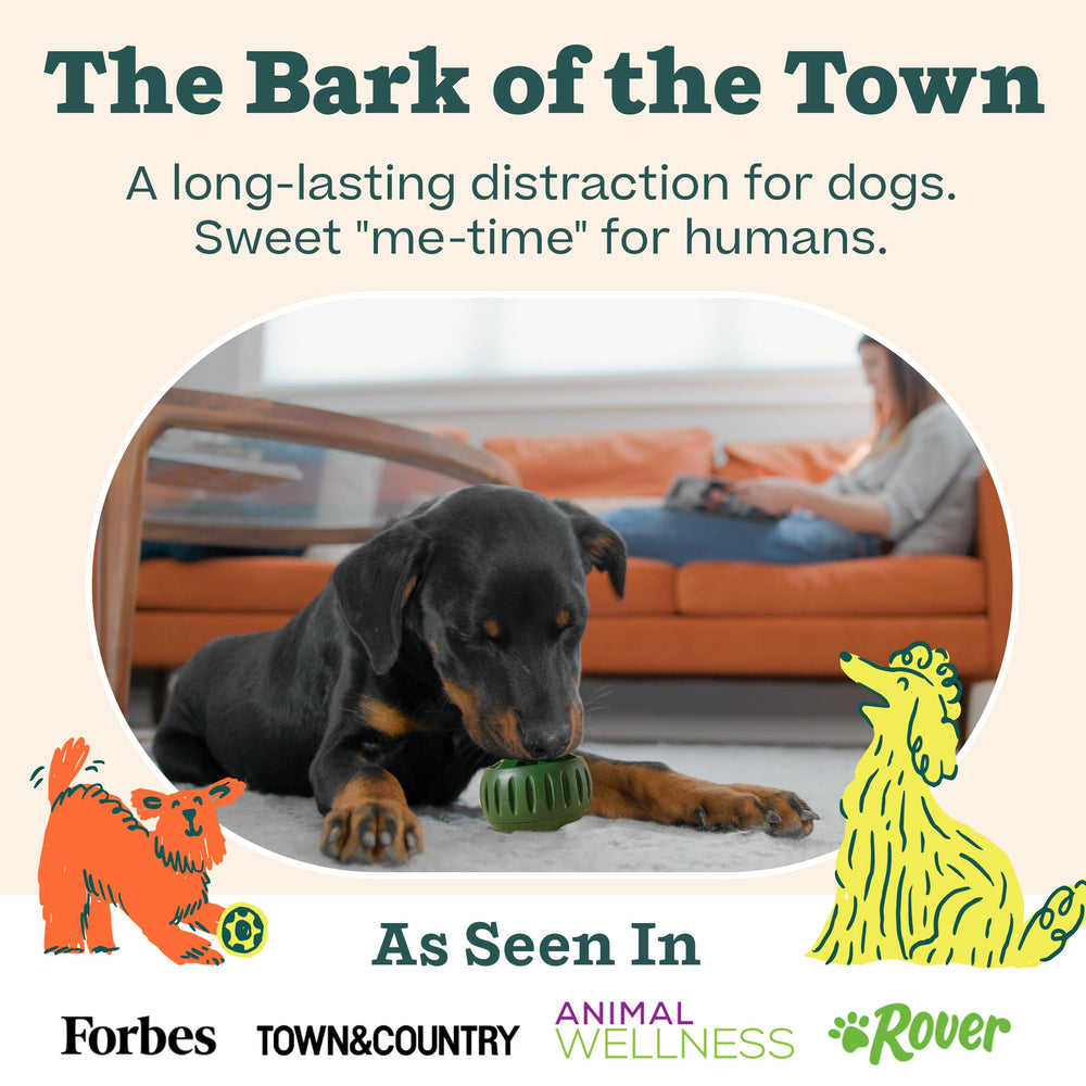 WOOF large-pups-friendly starter pack for engaging play