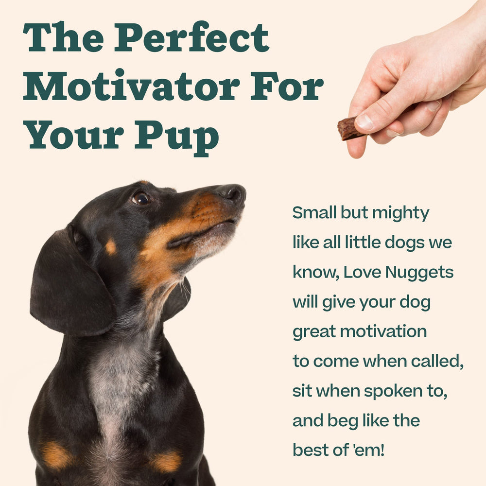 WOOF Love Nuggets dog-pup-reward, small treats help motivate learning.