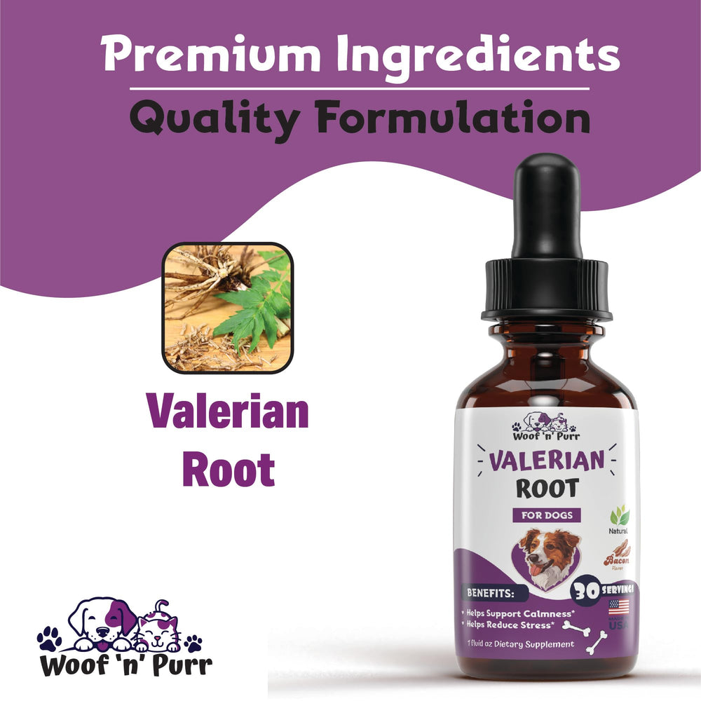 Woof n Purr Valerian Root helps soothe storm anxiety for daytime thunder worries.