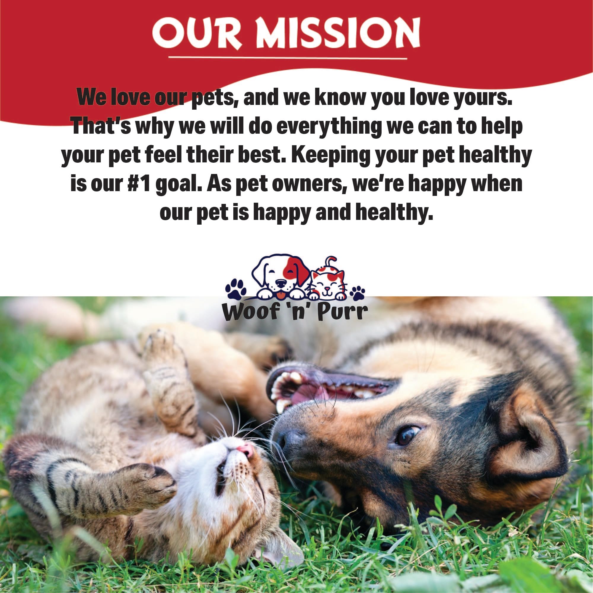 Woof 'n' Purr Vitamin B for Cats dining time with supplement.
