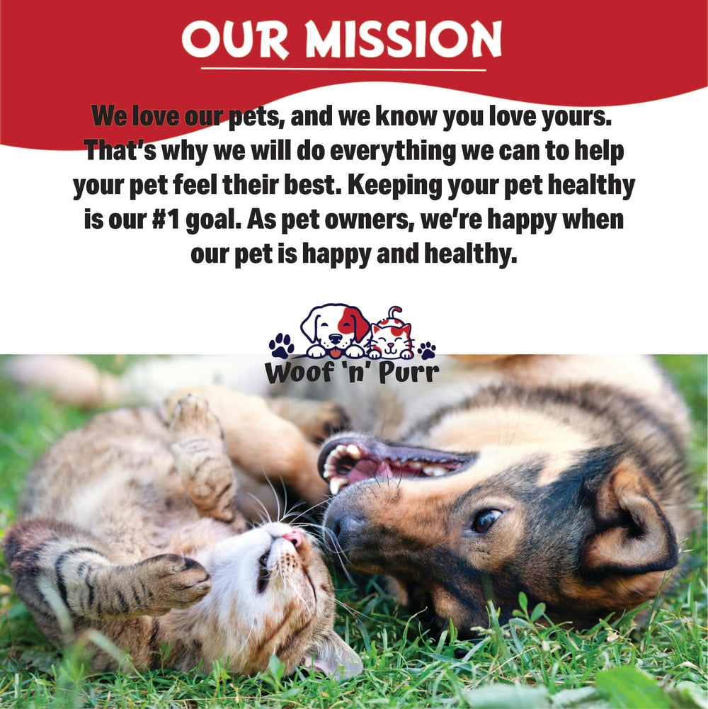 Woof 'n' Purr Vitamin B for Cats dining time with supplement.