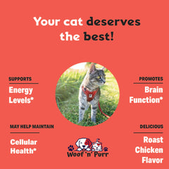Woof 'n' Purr Vitamin B for Cats mixed into food for smoother dosing.
