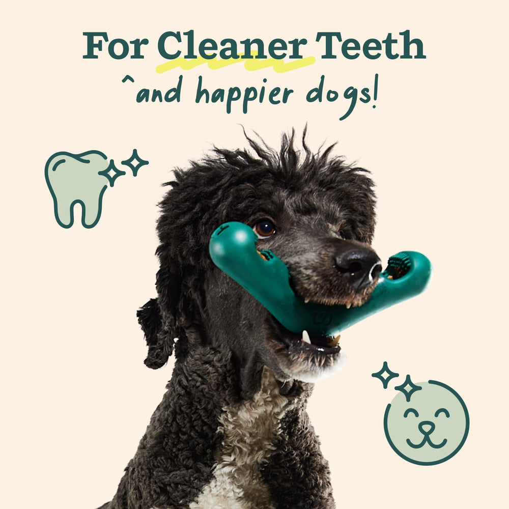 WOOF packaging demonstrates easy refill insertion and ongoing dental care routine.