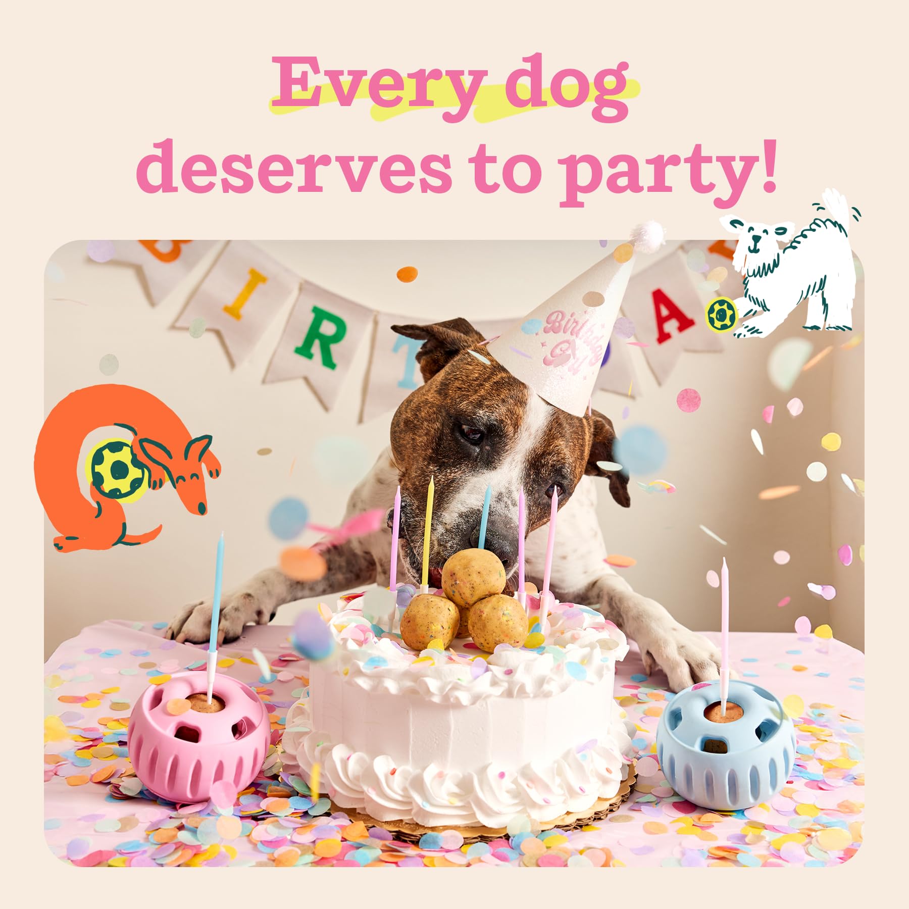 WOOF Party Pupsicle Buddy Blue Denver-based design reflects thoughtful, pet-first engineering.