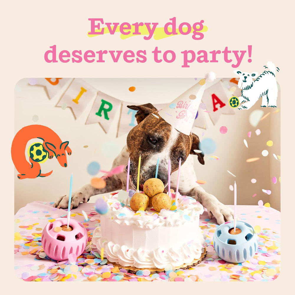 WOOF Pupsicle Birthday Pops Denver-designed product showcases pet-wellbeing focus.