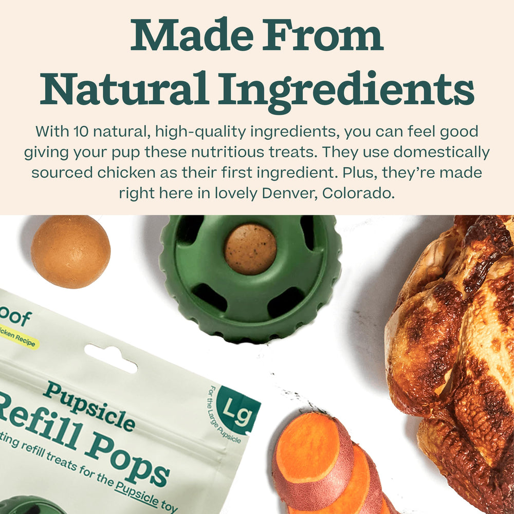 WOOF Pupsicle Chicken Refill Pops on a shelf-stable label suggests ready-to-use treats for adventures.