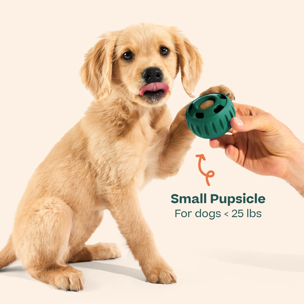 WOOF Pupsicle Denver-designed toy emphasizes quality and durable enrichment.