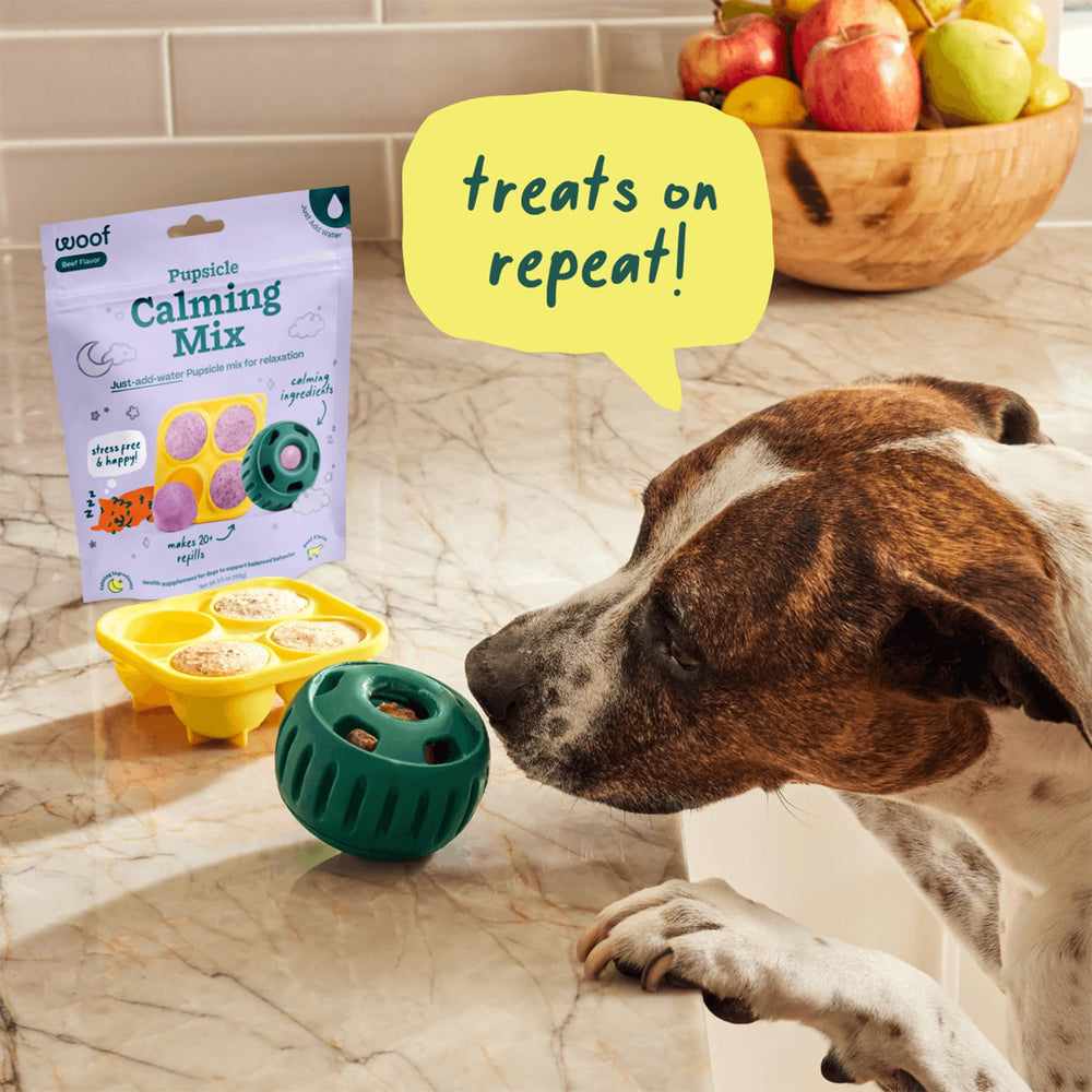 WOOF Pupsicle dog enjoying a treat during playtime.