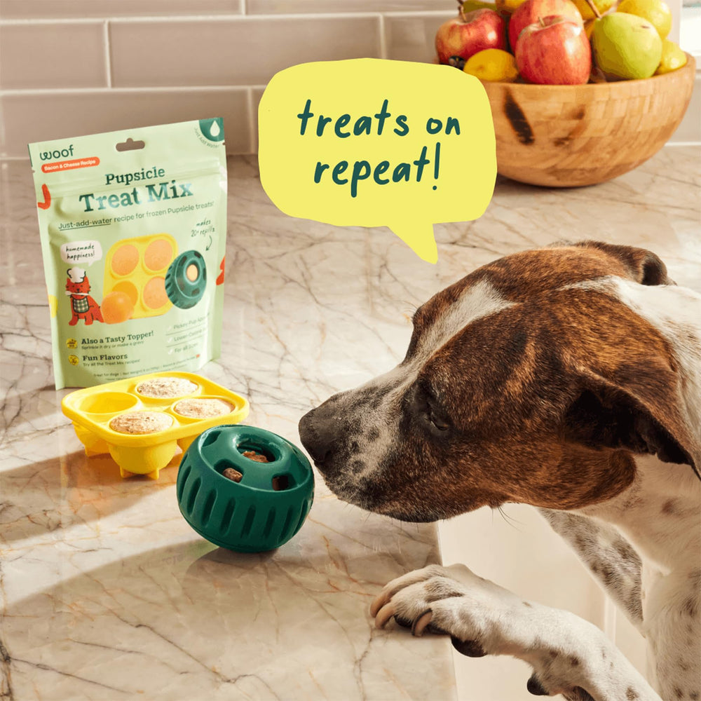WOOF Pupsicle freezer storage keeps batches fresh for weeks