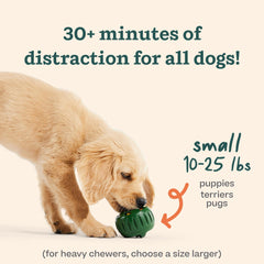 WOOF Pupsicle homemade treats ingredients highlight natural options