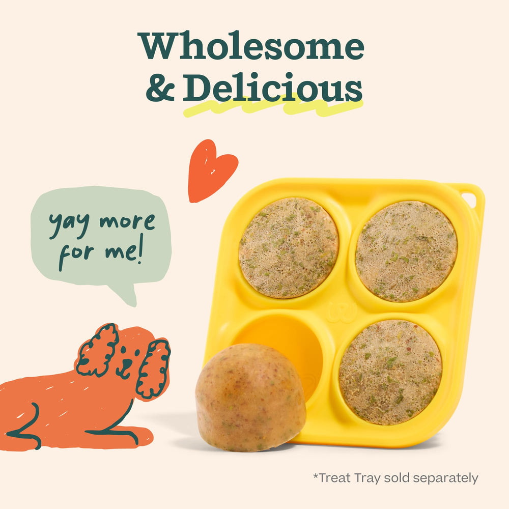 WOOF Pupsicle Mix four pops per sachet creates a batch of treats.