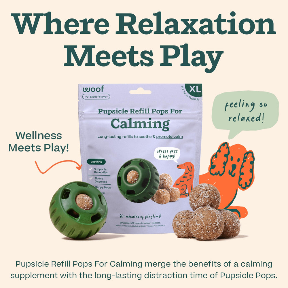 WOOF Pupsicle Refill Pops adventure-ready, ideal for hikes and car rides.