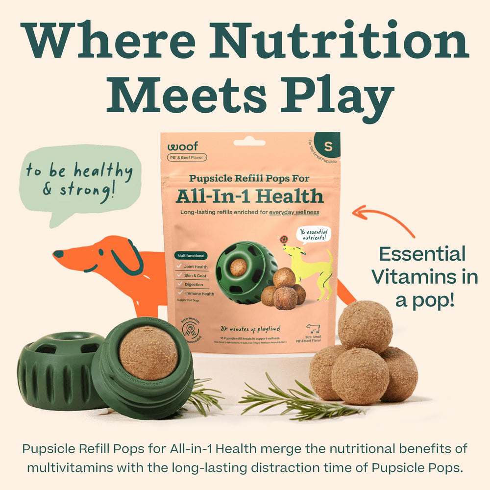 WOOF Pupsicle refill pops held in hand for on-the-go snacks during adventures.