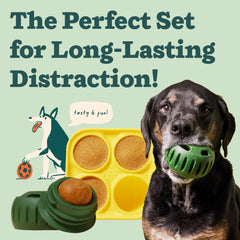 WOOF Pupsicle treat tray filled with treats for stimulating playtime.