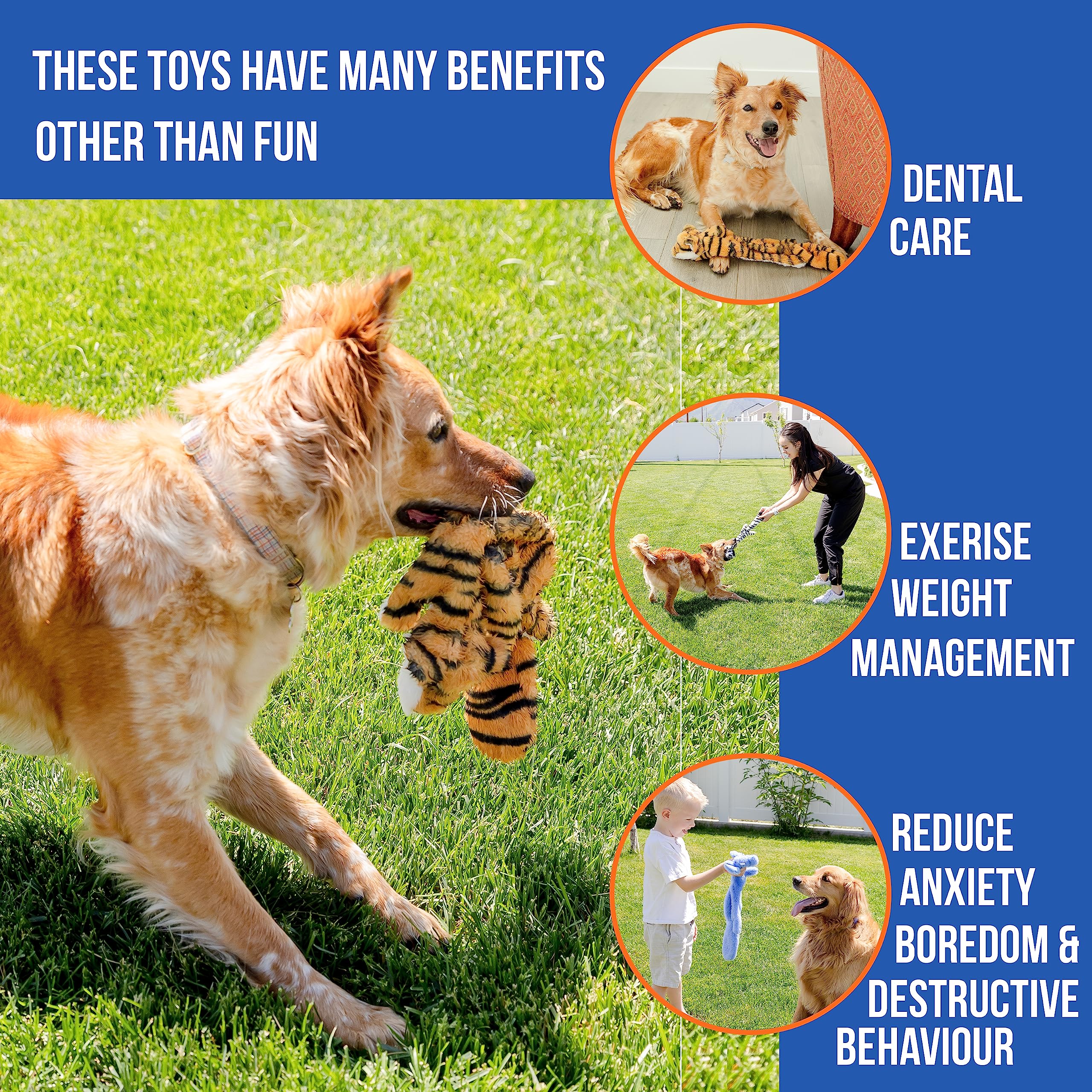 Woof Wonders crinkle-elephant plush toy for multisensory, boredom-busting play.