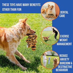 Woof Wonders crinkle-elephant plush toy for multisensory, boredom-busting play.