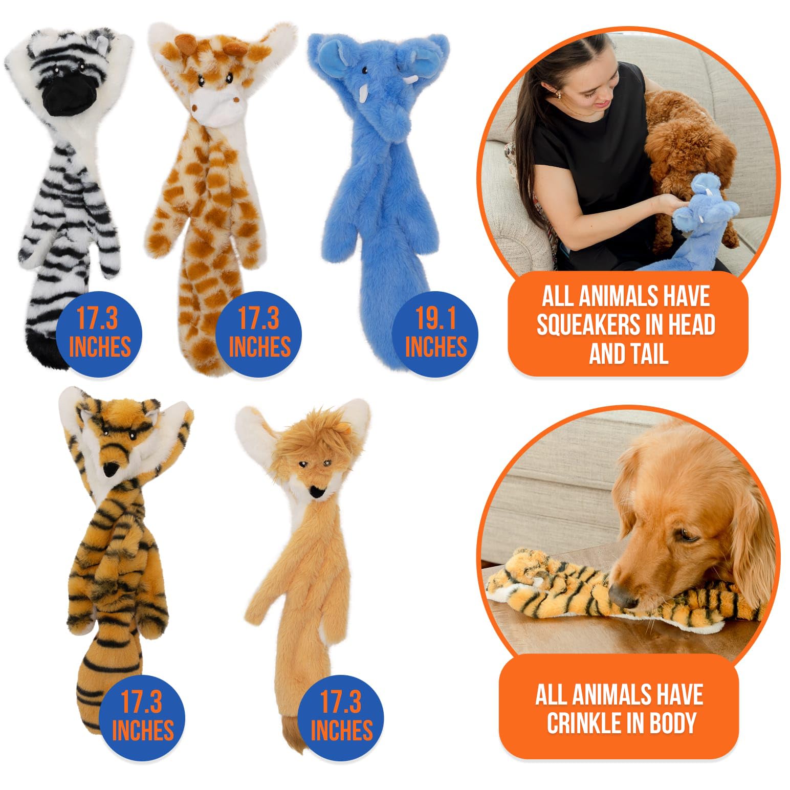 Woof Wonders dental-health-toy encourages chewing as a simple enrichment activity.