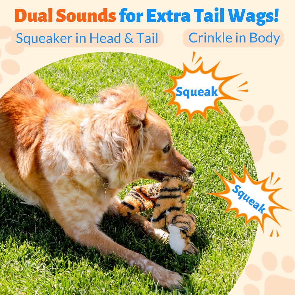 Woof Wonders durable-play-toy designed for regular fun and exercise without stuffing.