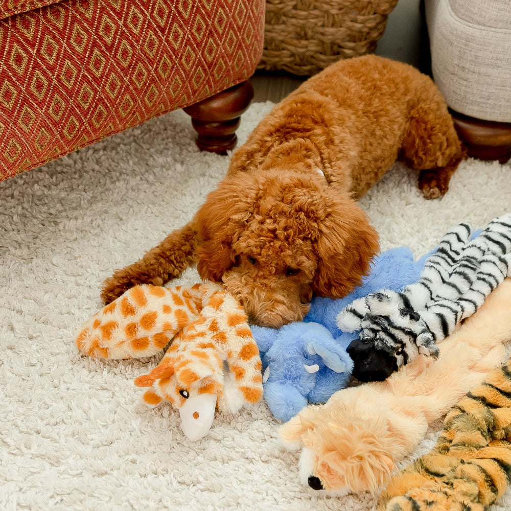 Woof Wonders embroidered-safety toy emphasizes secure, tear-resistant play during fetch.