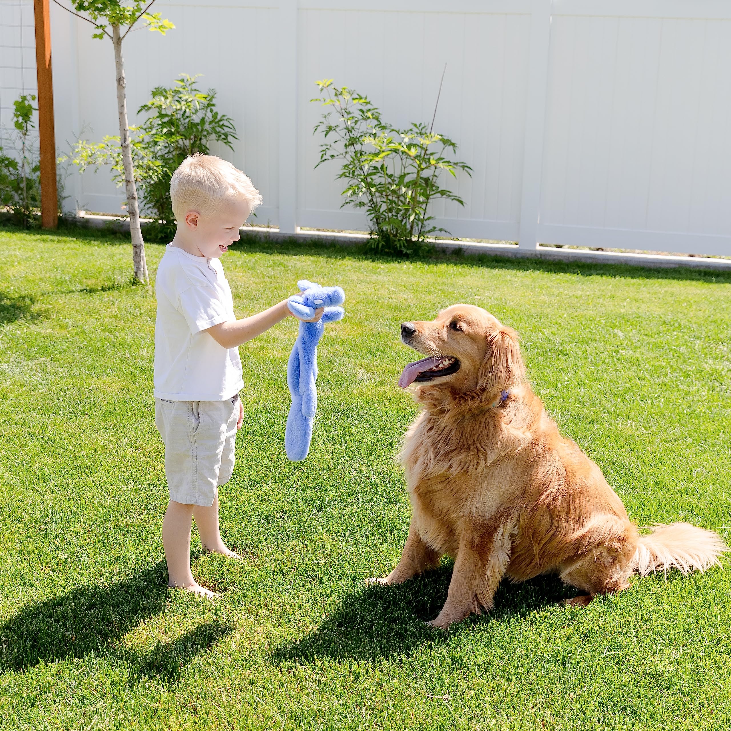 Woof Wonders head-squeaker tail-crinkle toy invites interactive play and multisensory engagement.