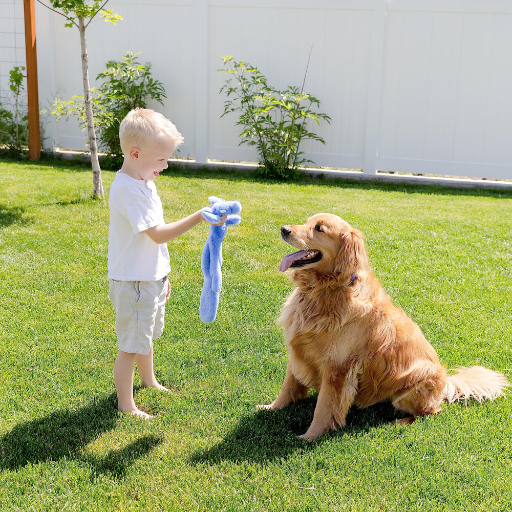 Woof Wonders head-squeaker tail-crinkle toy invites interactive play and multisensory engagement.