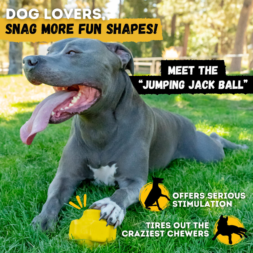 WoofBite dishwasher-safe design simplifies cleaning after tough play sessions