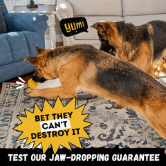 WoofBite indestructible ball 3-inch size for easy fetch