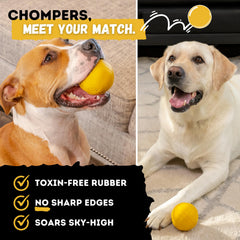 WoofBite ball during chew test demonstrates bite-resistance