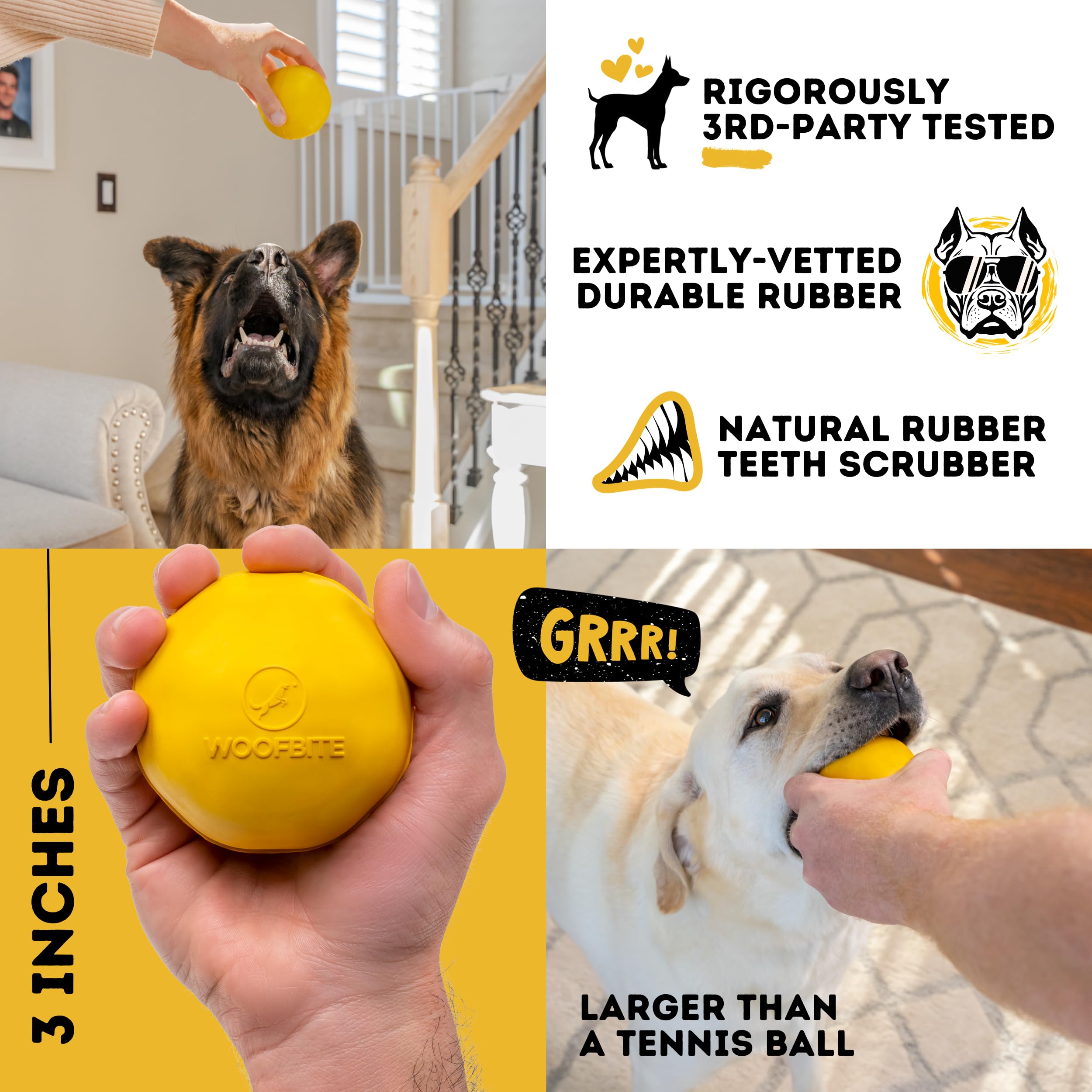WoofBite ball with dog during playtime