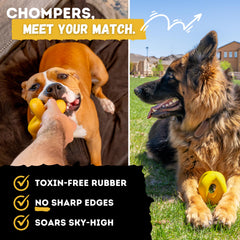 WoofBite Indestructible Dog Ball in action during fetch with a dog.