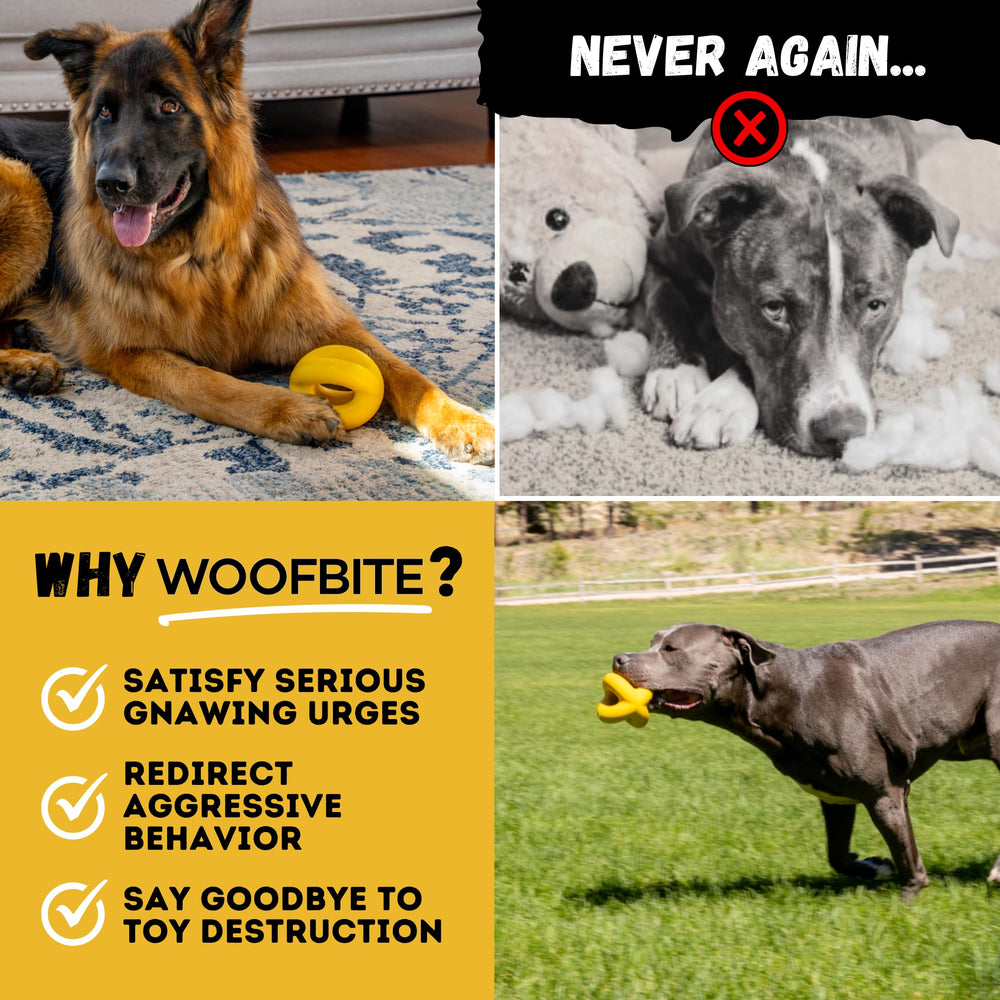 WoofBite Indestructible Dog Ball during tug play, showcasing rugged design.