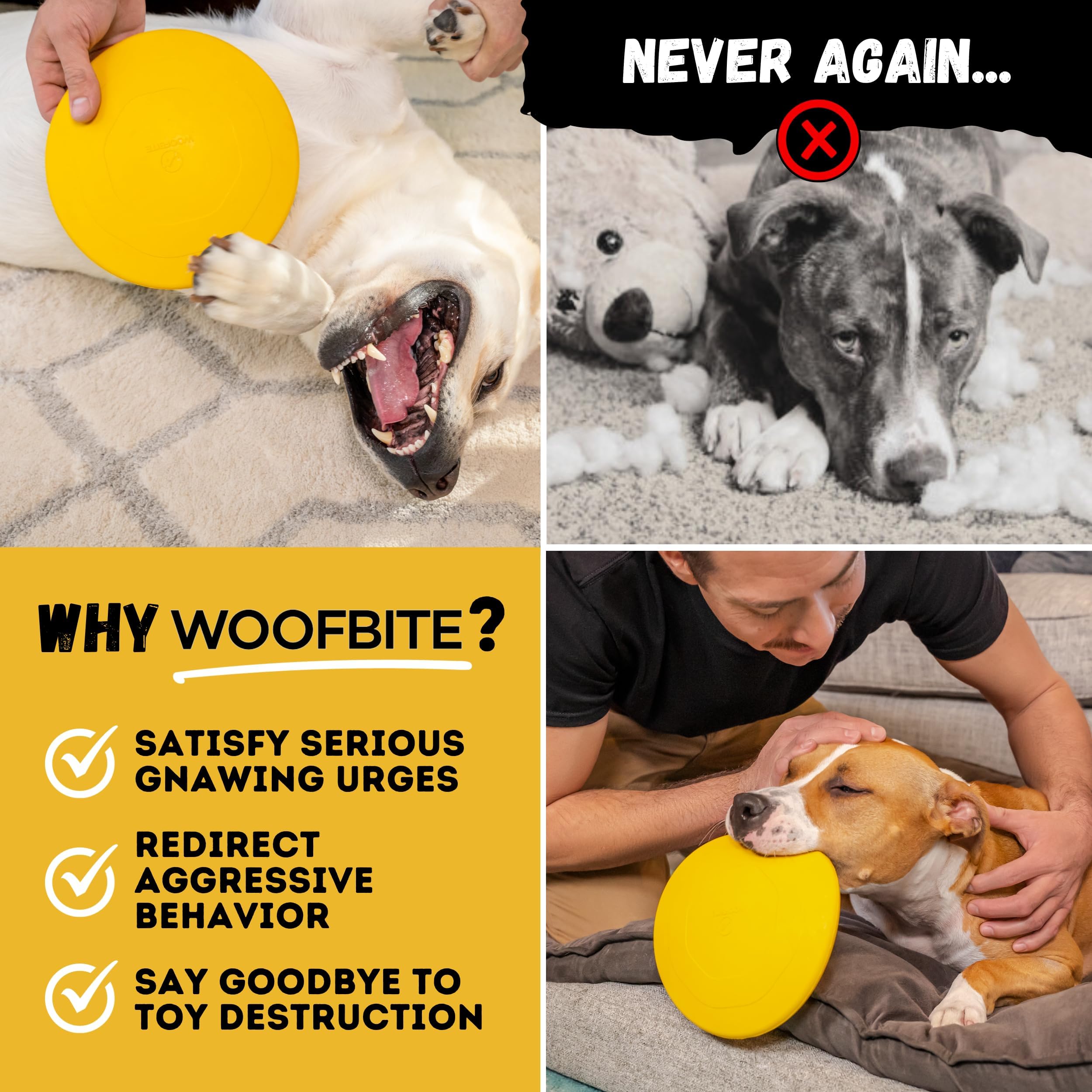 WoofBite Disc supports dental health through chewing and interactive play.