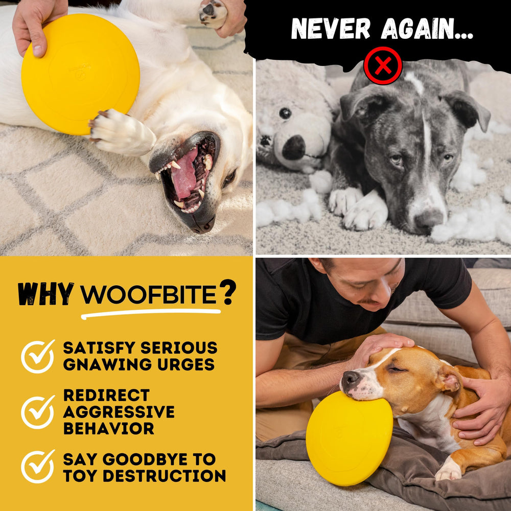 WoofBite Disc supports dental health through chewing and interactive play.