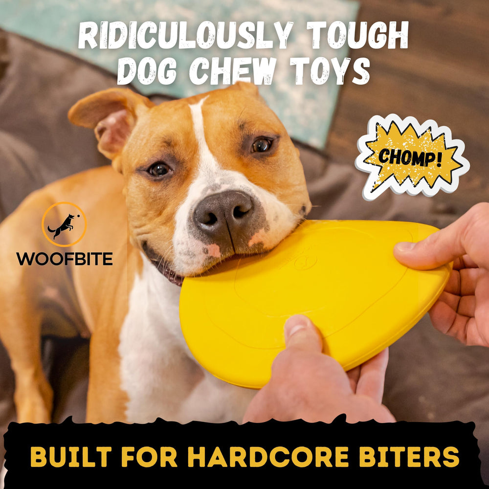 WoofBite Disc fetch-toy crafted for powerful games of fetch and tug.