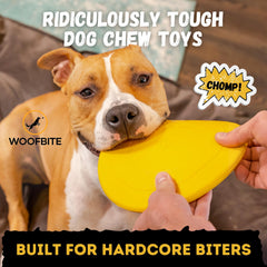 WoofBite Disc fetch-toy crafted for powerful games of fetch and tug.