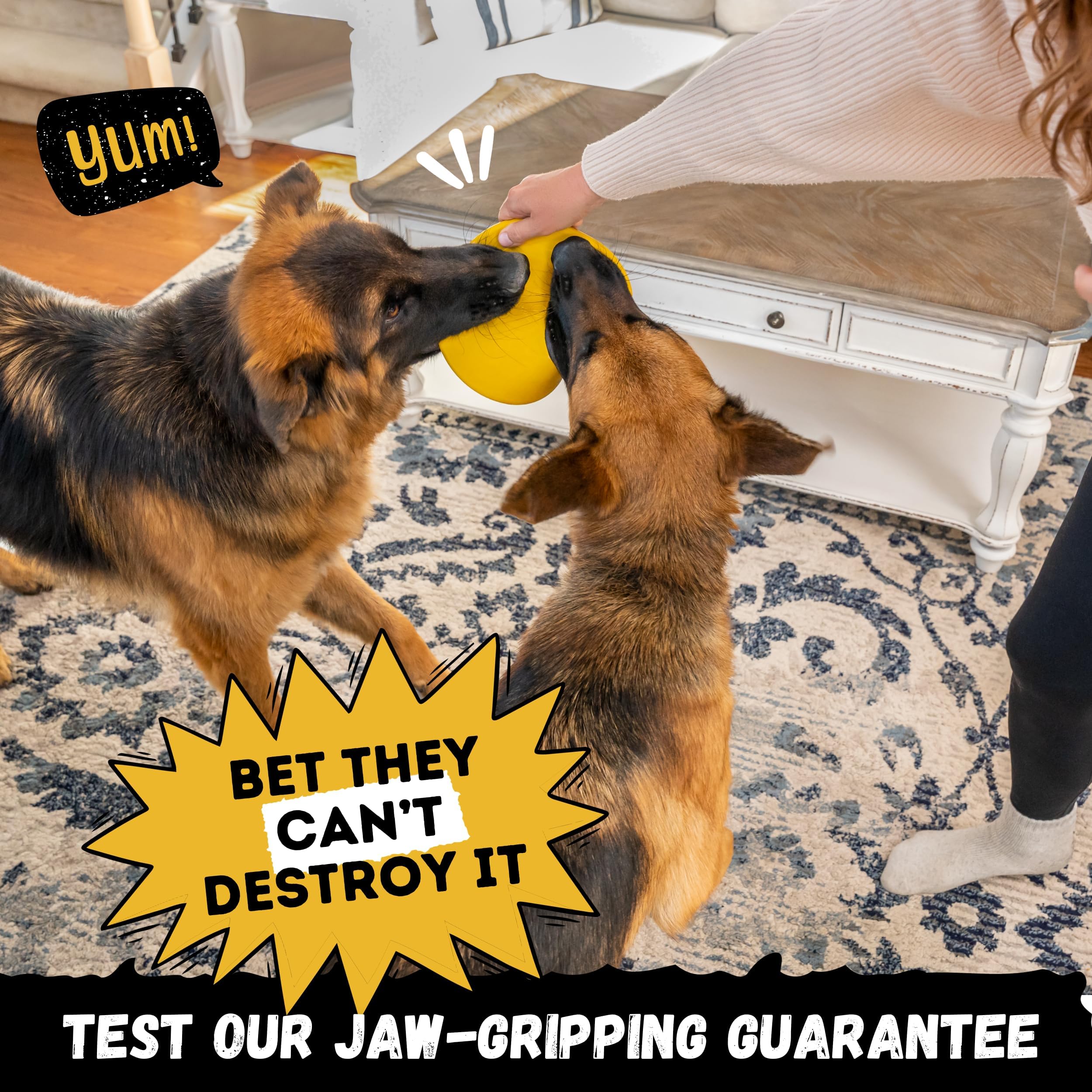 WoofBite Disc suitable for medium and large breeds during outdoor play.