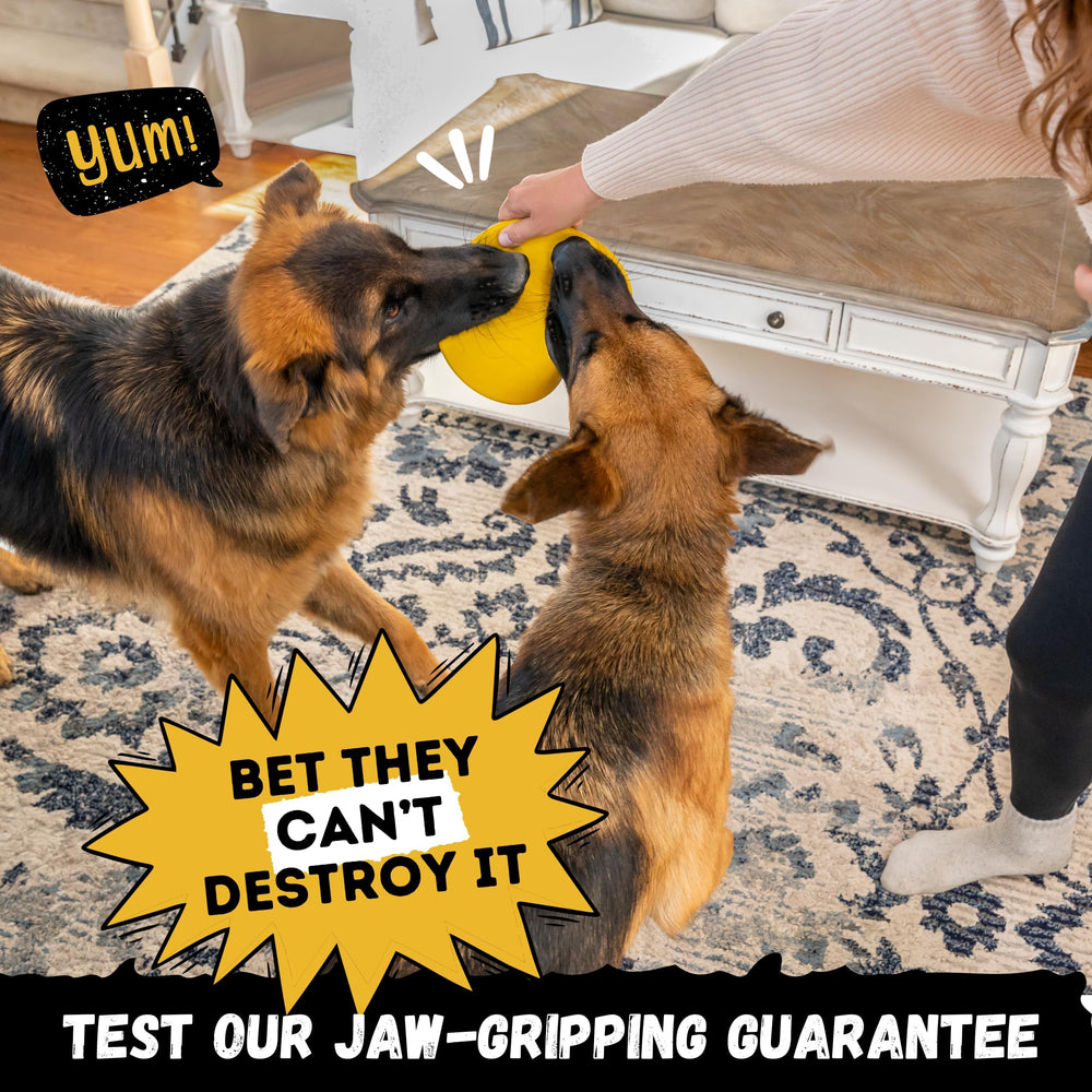 WoofBite Disc suitable for medium and large breeds during outdoor play.
