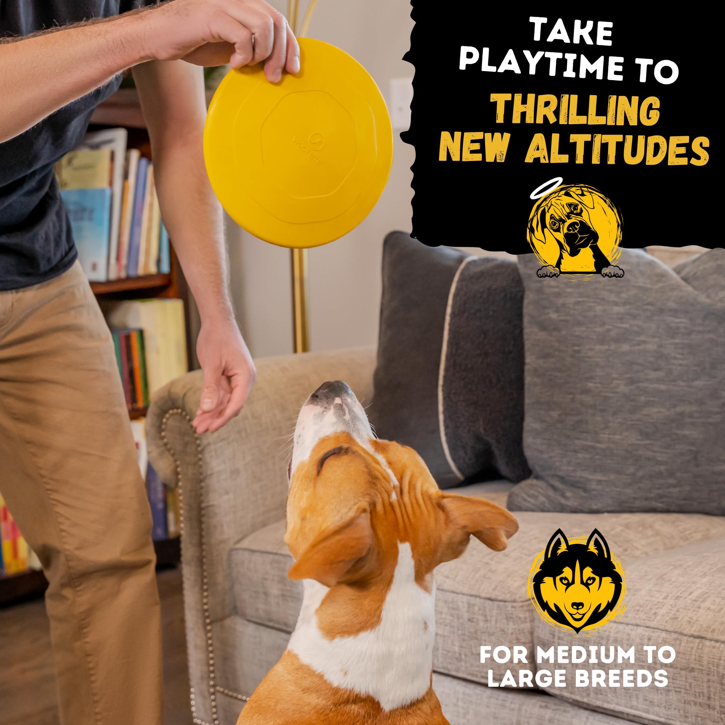 WoofBite Disc with lifetime guarantee for durable canine toys.