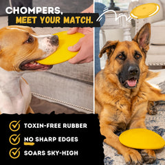 WoofBite Disc tug-toy in rugged material for interactive play.