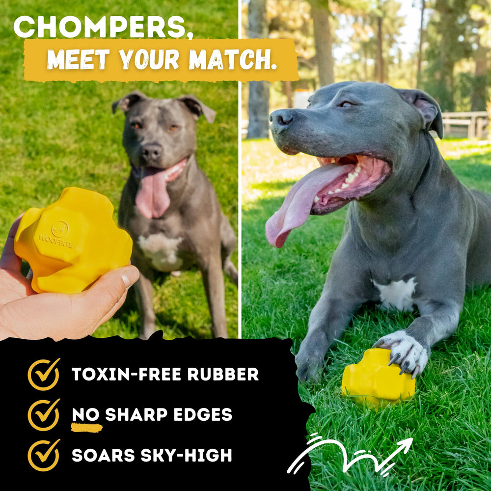 WoofBite Indestructible Jumping Jack Toy bright yellow color for visibility during play.