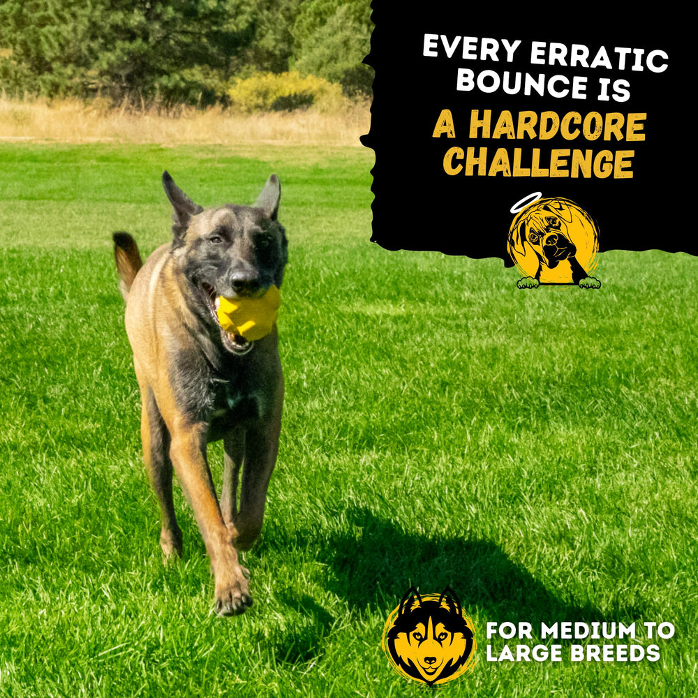 WoofBite Indestructible Jumping Jack Toy on grass for outdoor durability during play.