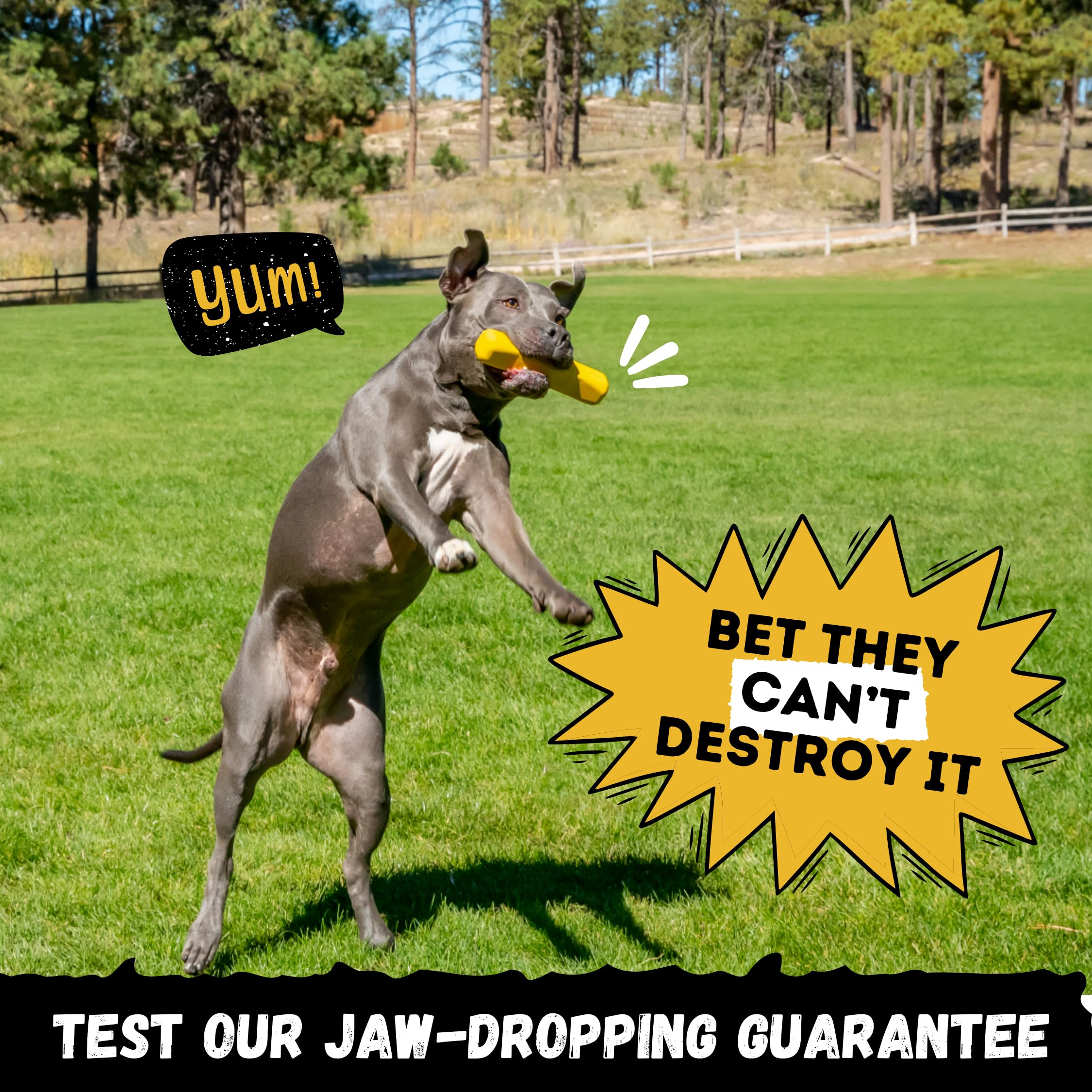 WoofBite indestructible stick dog toy in fetch flight boosts exercise