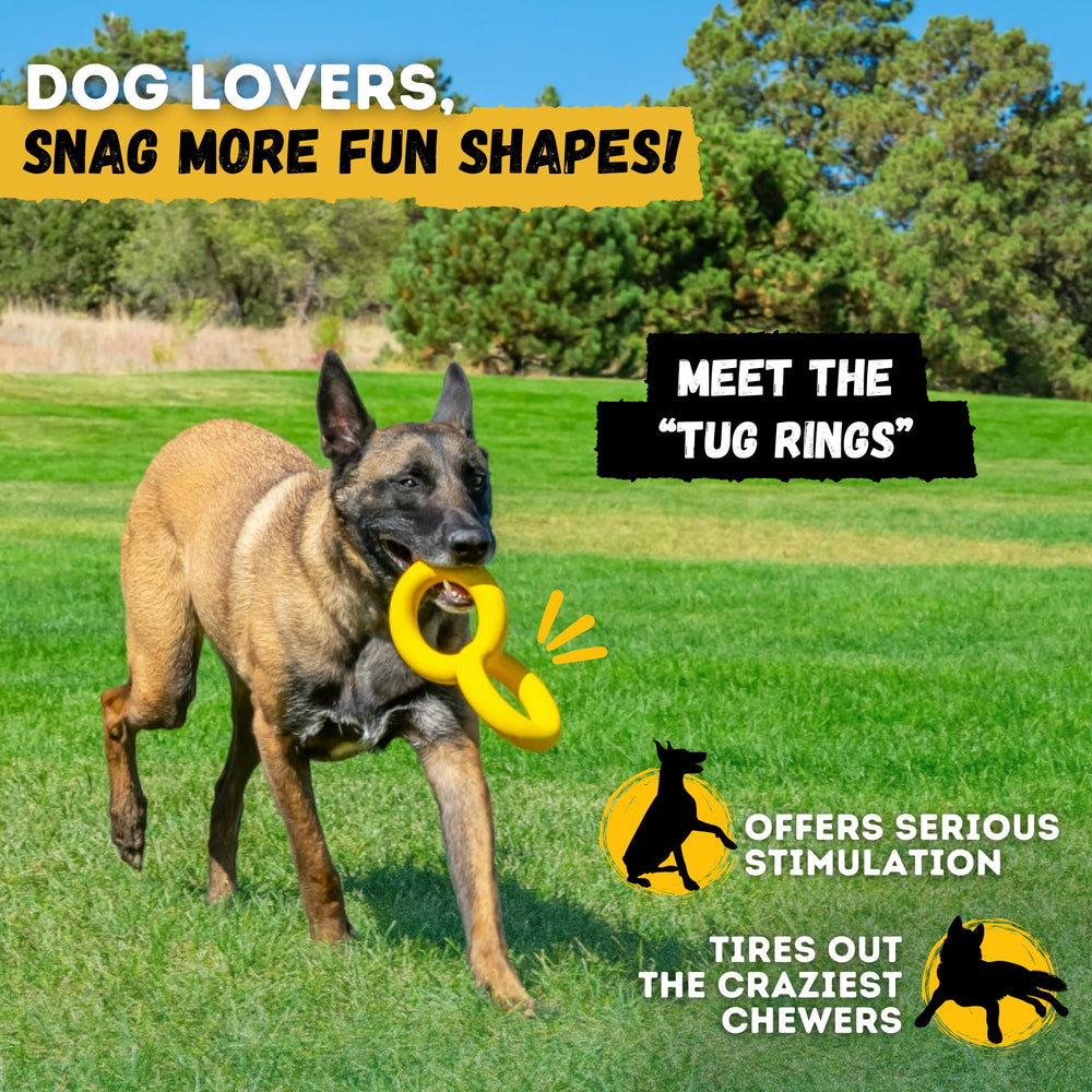 WoofBite indestructible stick dog toy on display packaging highlights lifetime replacement