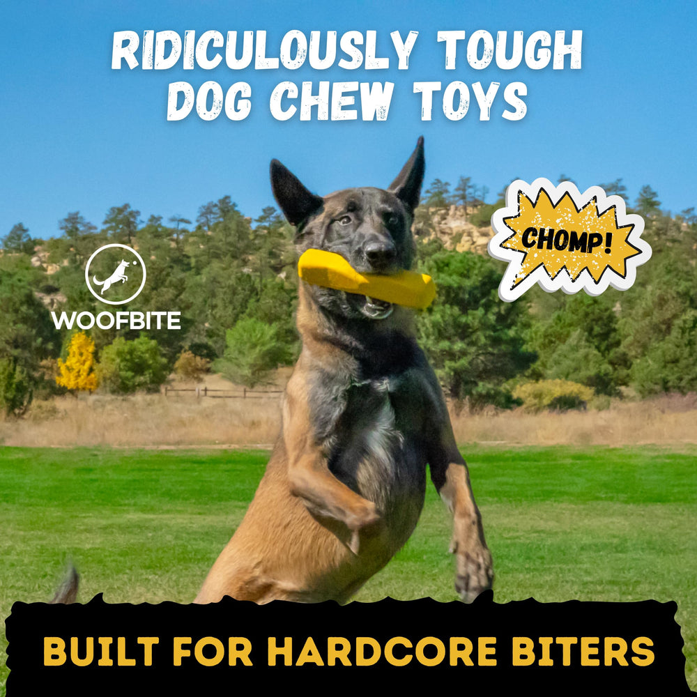 WoofBite indestructible stick dog toy during tug action supports interactive play