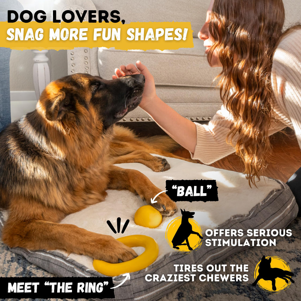 WoofBite Lifetime replacement claim illustration on a durable chew toy.