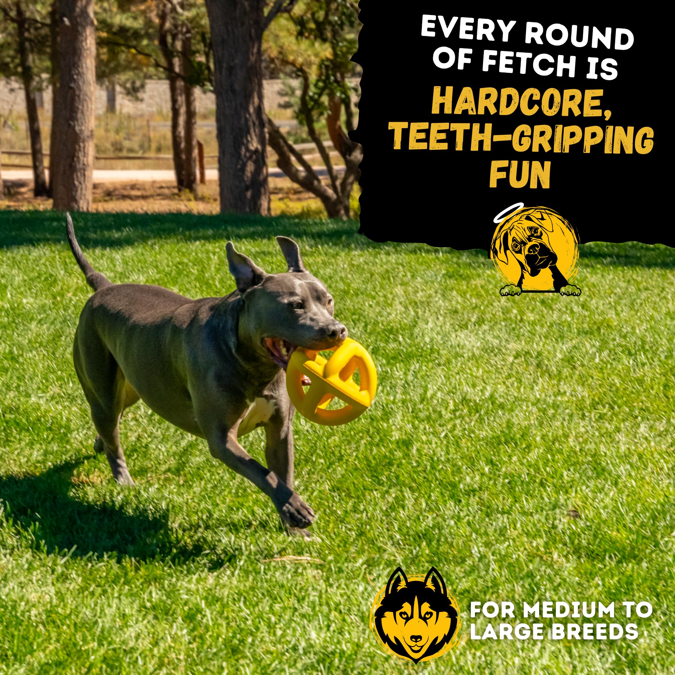 WoofBite lifetime replacement builds trust and reduces toy waste for long-term fetch sessions