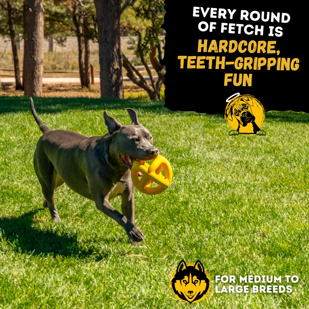 WoofBite lifetime replacement builds trust and reduces toy waste for long-term fetch sessions