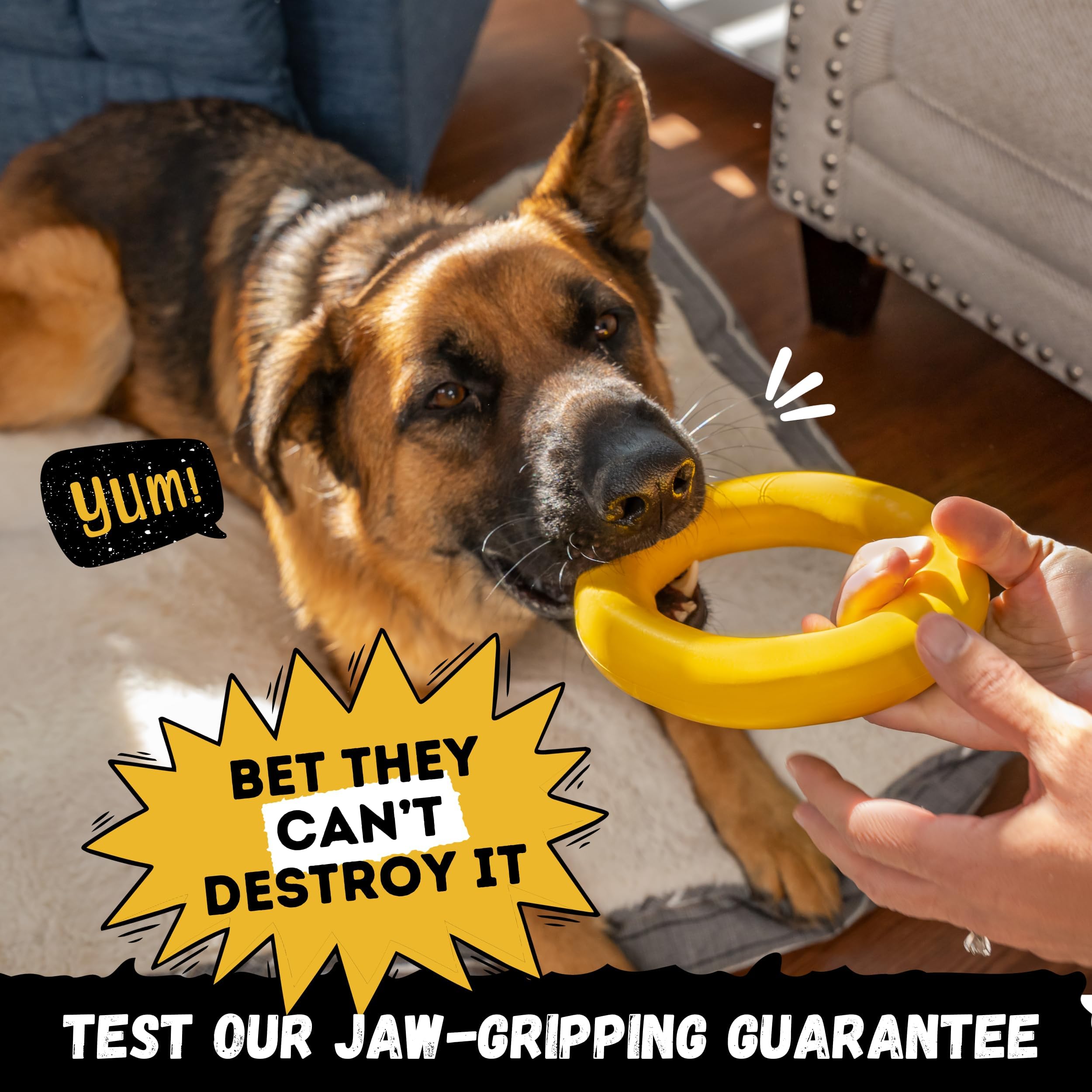 WoofBite Power Chewer Fetch Tug demonstrates versatile exercise and engagement.