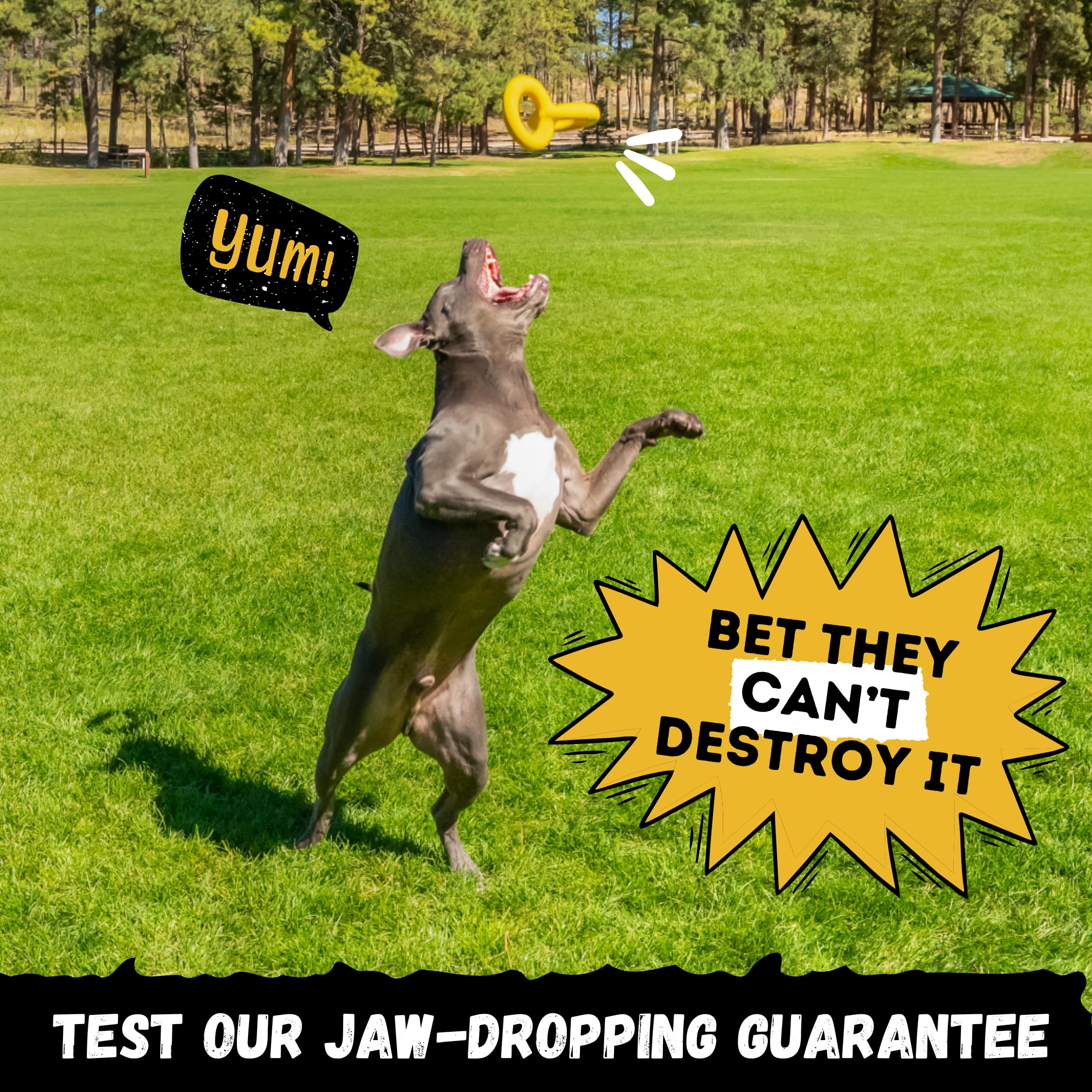 WoofBite Tug Rings lifetime demolish-free guarantee label visible.