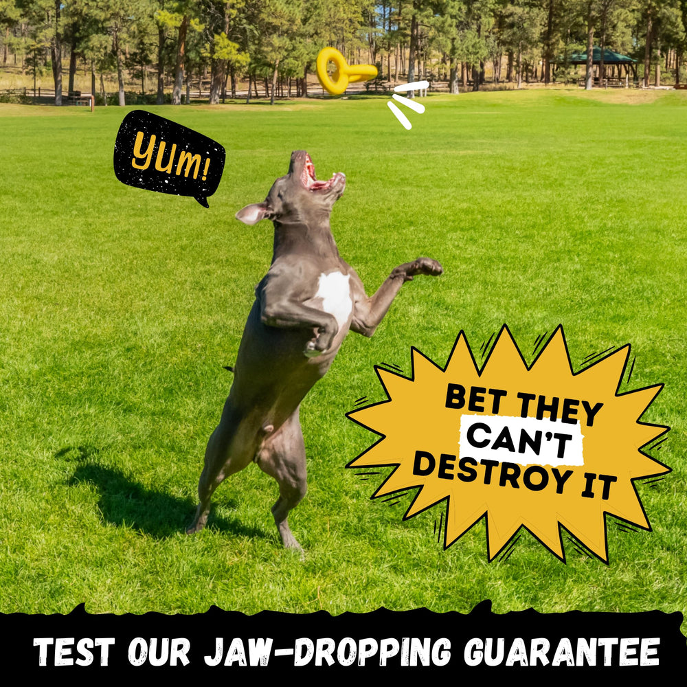 WoofBite Tug Rings lifetime demolish-free guarantee label visible.